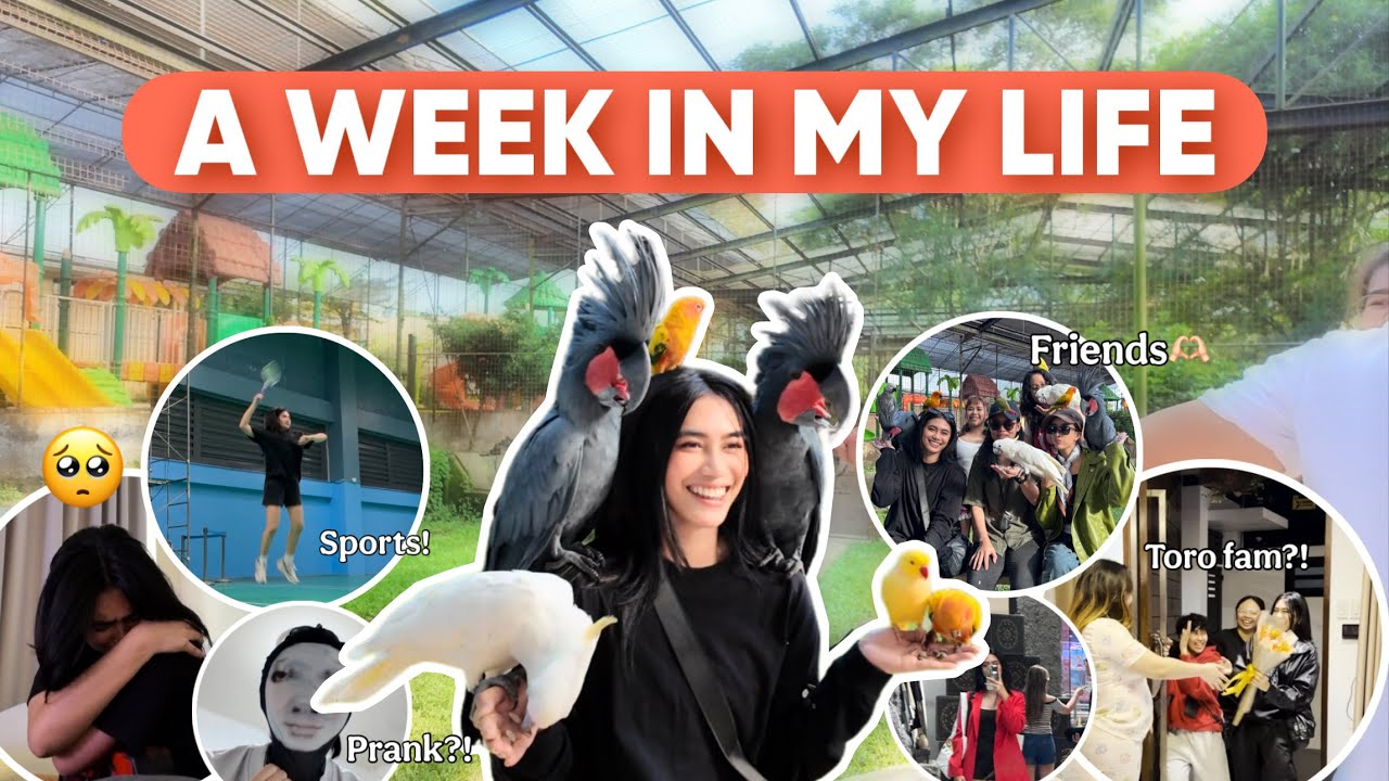 A WEEK IN MY LIFE ☀️| ANGGE G.
