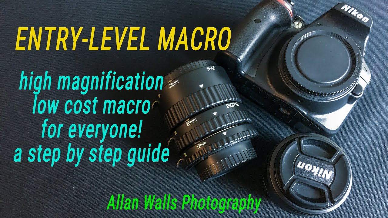 Entry-Level Macro