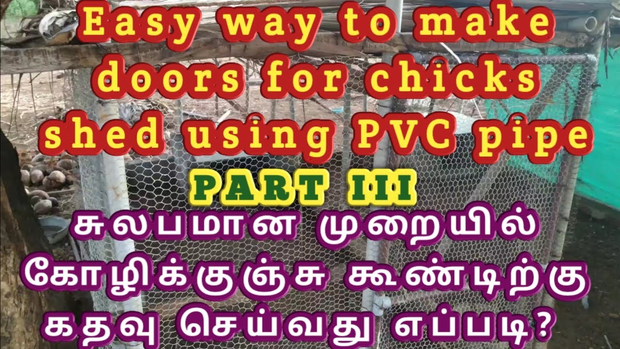 நாட்டுக்கோழி குஞ்சுகளுக்கு குறைந்த செலவில் கூண்டு அமைப்பது எப்படி? PART-3 || Low cost shed for chick