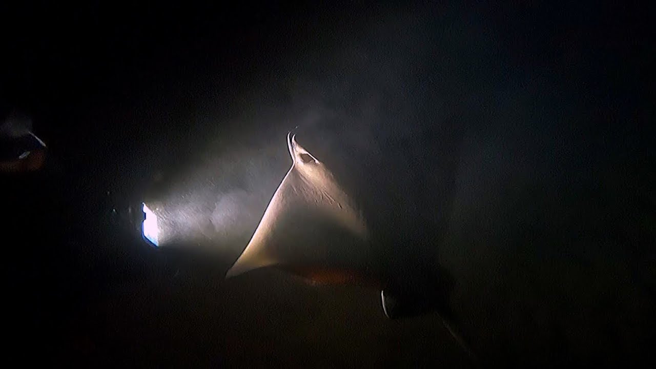 Freediving in Tenerife Chap 3. (Radazul) - Apnea en Tenerife Cap. 3. (Radazul)