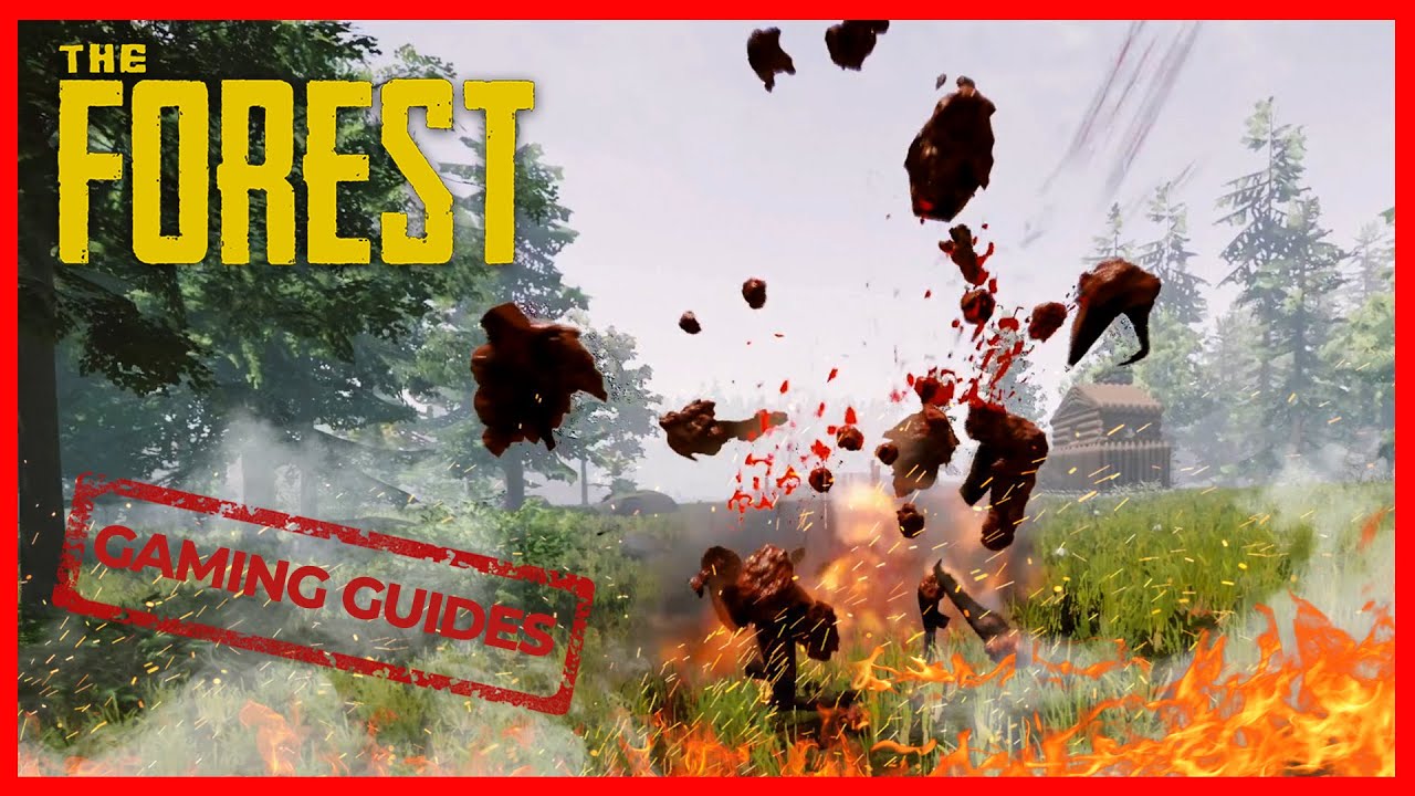 DIE BESTEN FALLEN IN THE FOREST / GAMING GUIDES - The Forest 🌲
