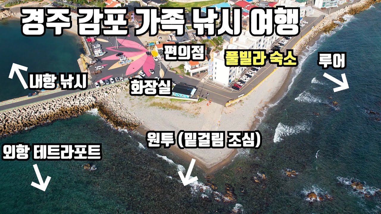 [가족 낚시 여행] 경주 감포 숙소 근처가 낚시 포인트 (잡아서 먹기)