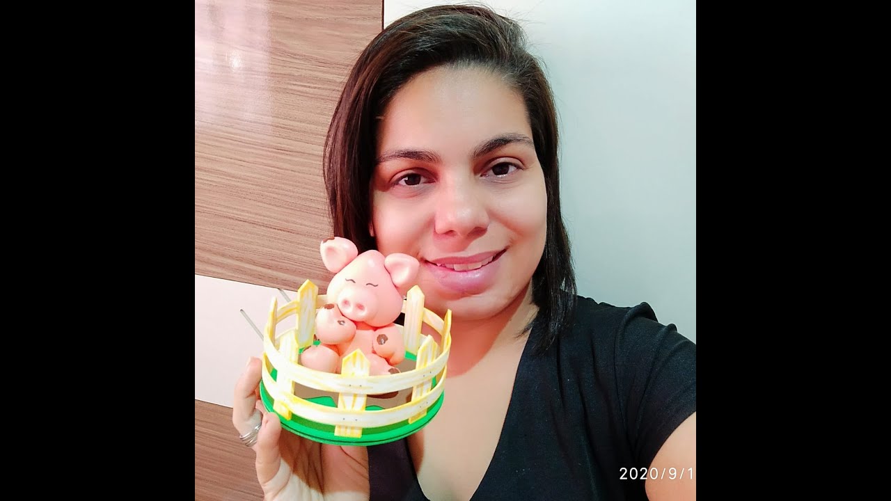 Aula 1 porquinho