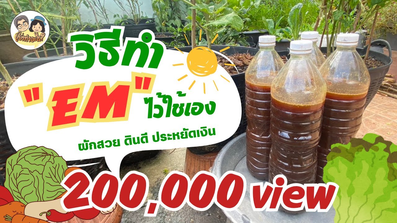 วิธีทำ EM ไว้ใช้เอง ผักสวย ดินดี ประหยัดเงิน ทำตามได้แน่นอน!