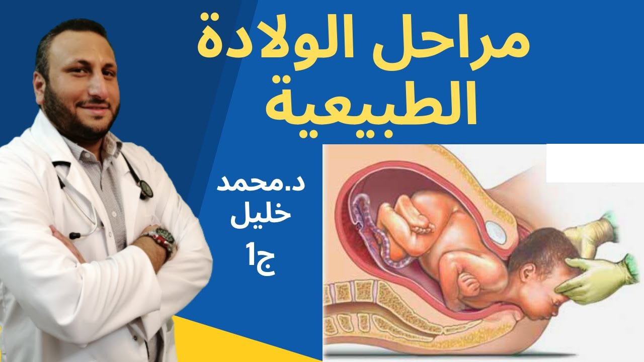 مراحل الولادة الطبيعية و اتساع عنق الرحم و ما يجب فعله في كل مرحلة 😃 ج1 / دكتور محمد خليل