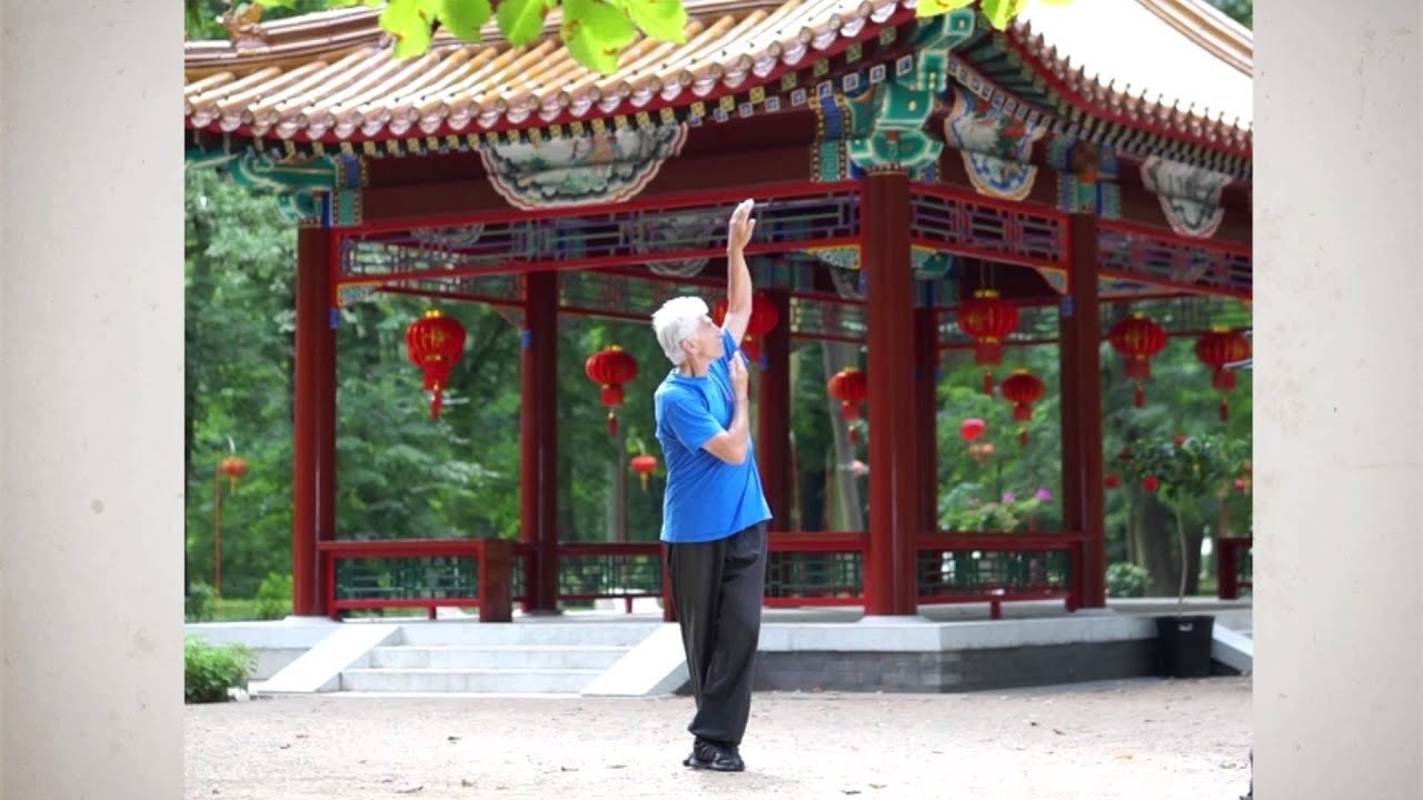 Fundacja Dantian Ćwiczenia Pięciu Zwierząt 2015