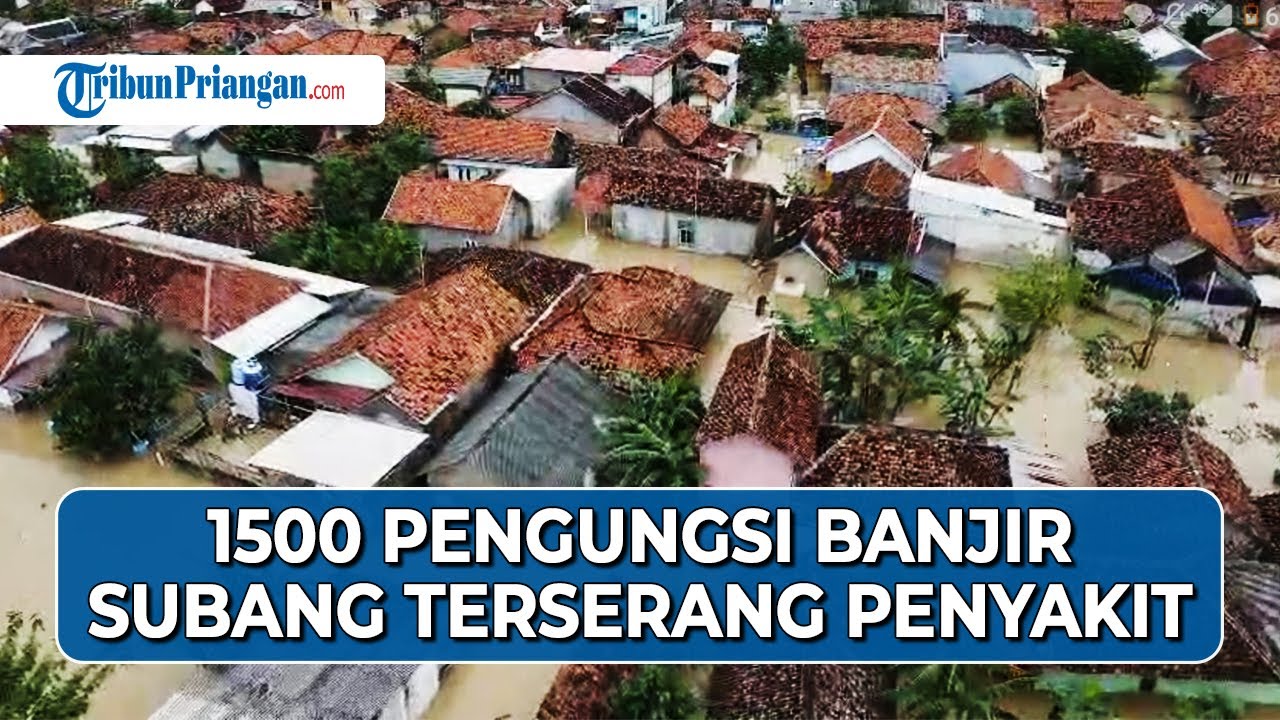 Pantura Subang Siaga: Banjir Meluas Akibat Luapan Cipunagara, 1500 Pengungsi Terserang Penyakit