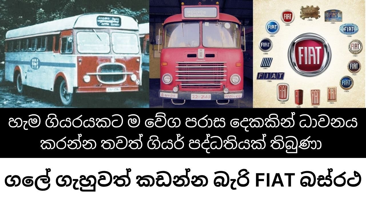ගලේ ගැහුවත් කඩන්න බැරි ෆියට් බස්රථ | Durability of Fiat buses
