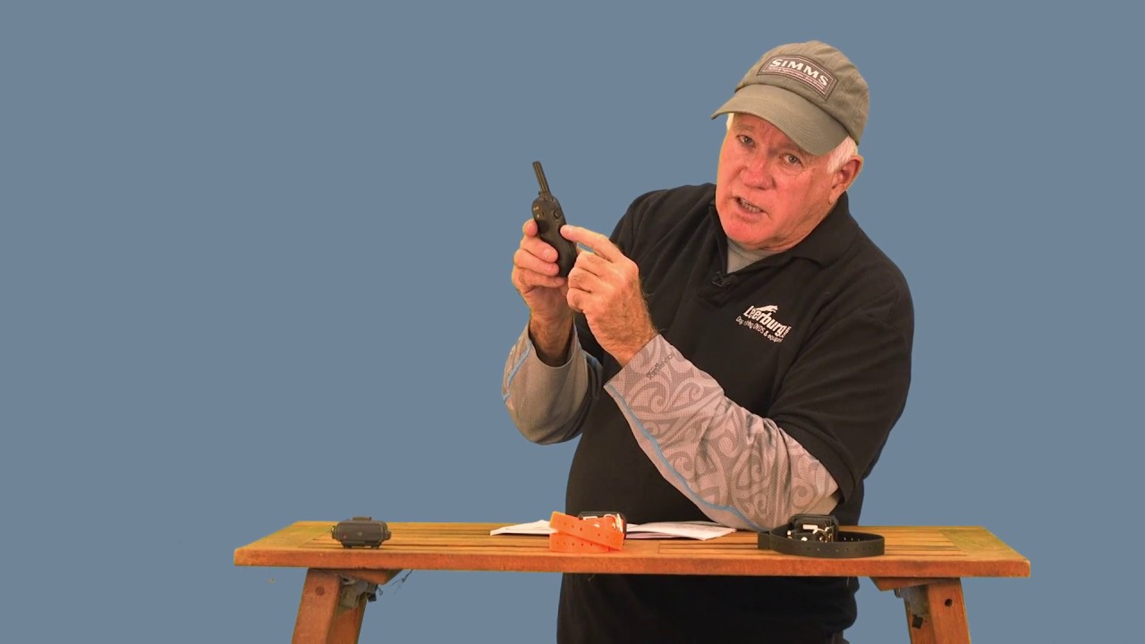 Часть 4. Программирование передатчика Educator Pro900 для 2–3 собак