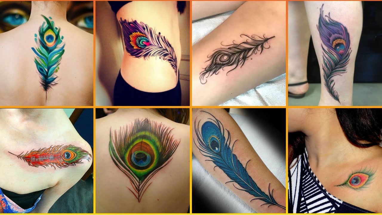Lovely Peacock Feather Tattoos For Girls | Peacock Feather Tattoos For Womens | Feather Tattoos!