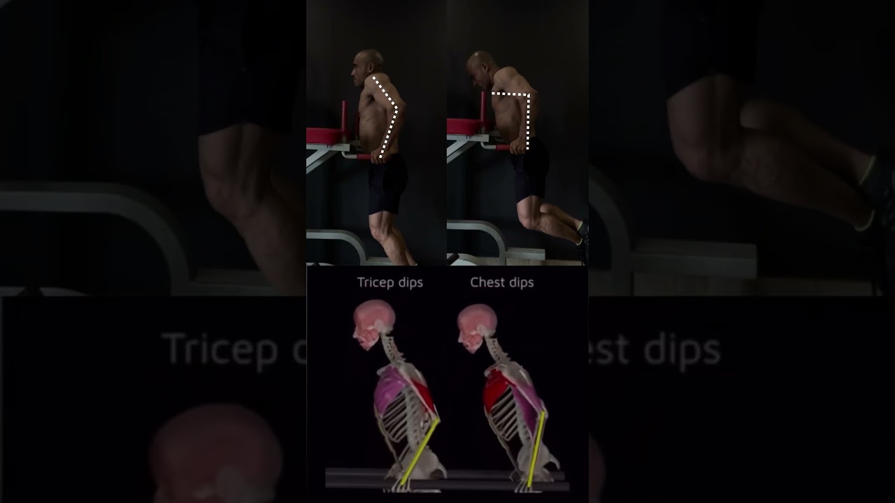 &ldquo;Bar Dips vs Tricep Dips &ndash; What&rsquo;s the Real Difference?&rdquo;#shorts #fitness #motivation