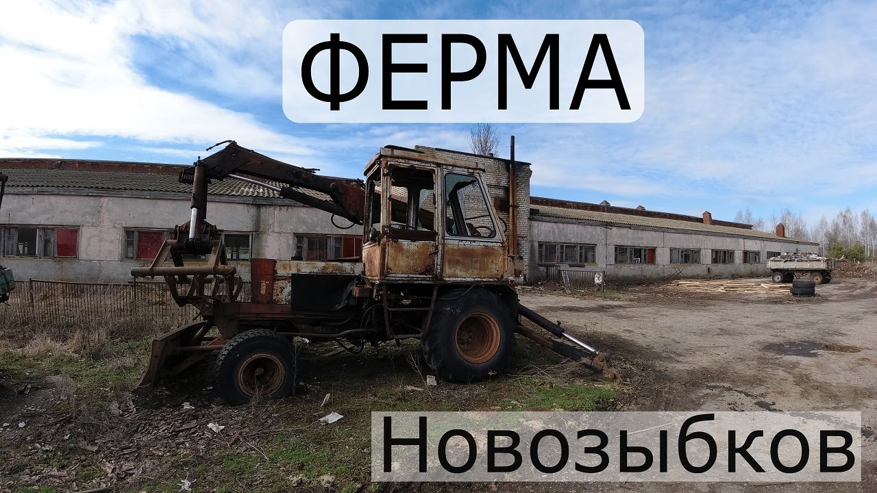 Совхоз Новозыбков #новозыбков #novozybkov #совхоз
