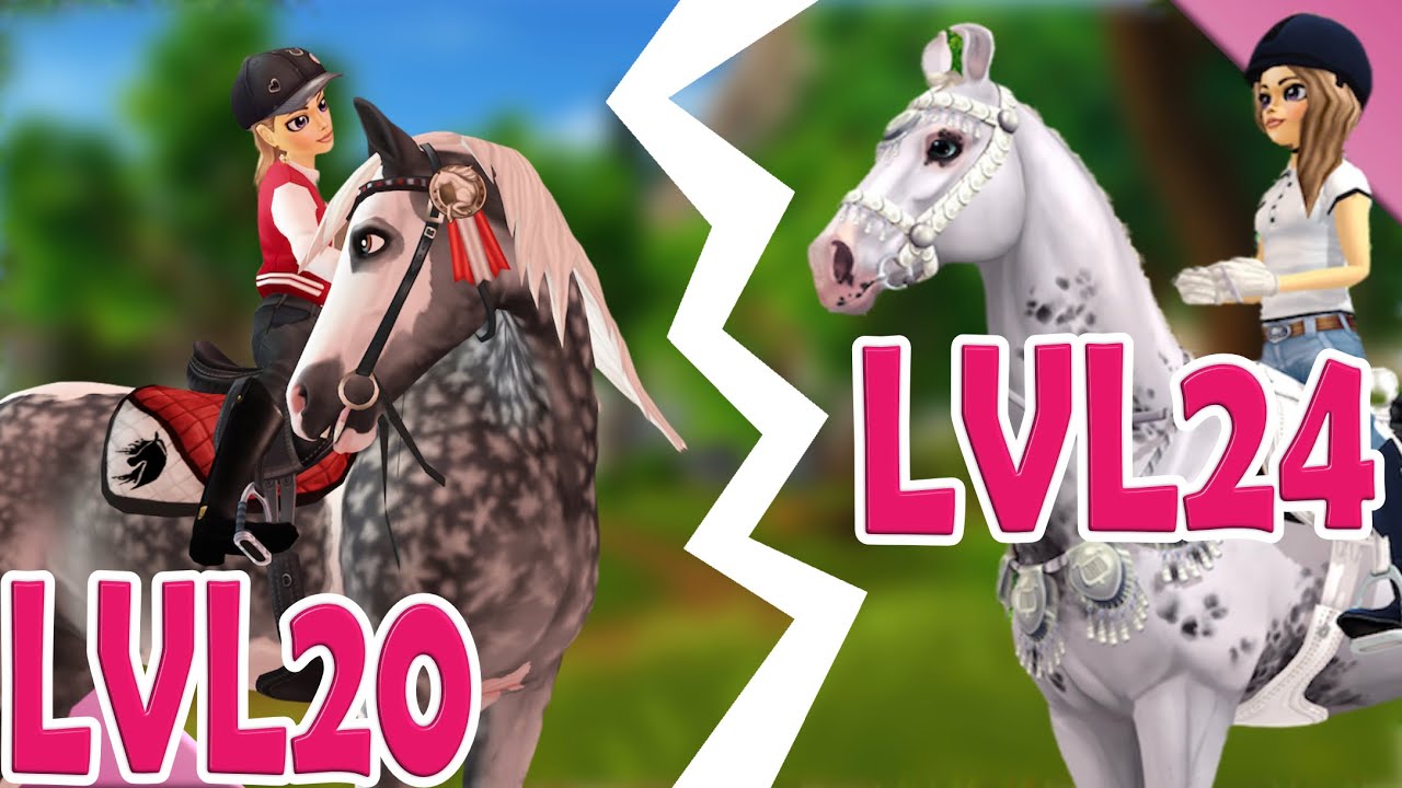 Die Levelschere und die Folgeprobleme 🐴💭 Kaddi's Stallgeflüster
