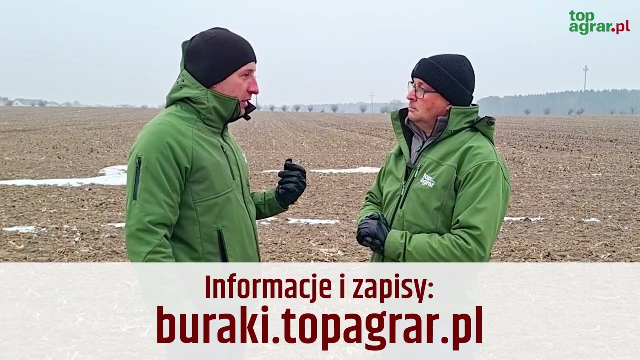 Zadbaj o plon i jakość buraków – weź udział w seminarium już 12 lutego!