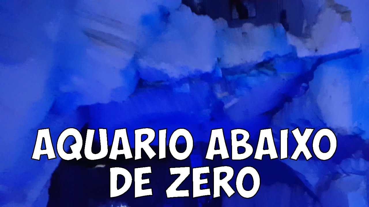 ❄️ Aquário de São Paulo - Aquário abaixo de zero