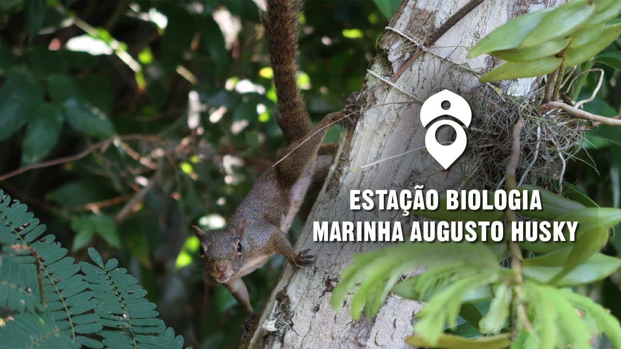 ESTA&Ccedil;&Atilde;O BIOLOGIA MARINHA AUGUSTO RUSCHI - Aracruz