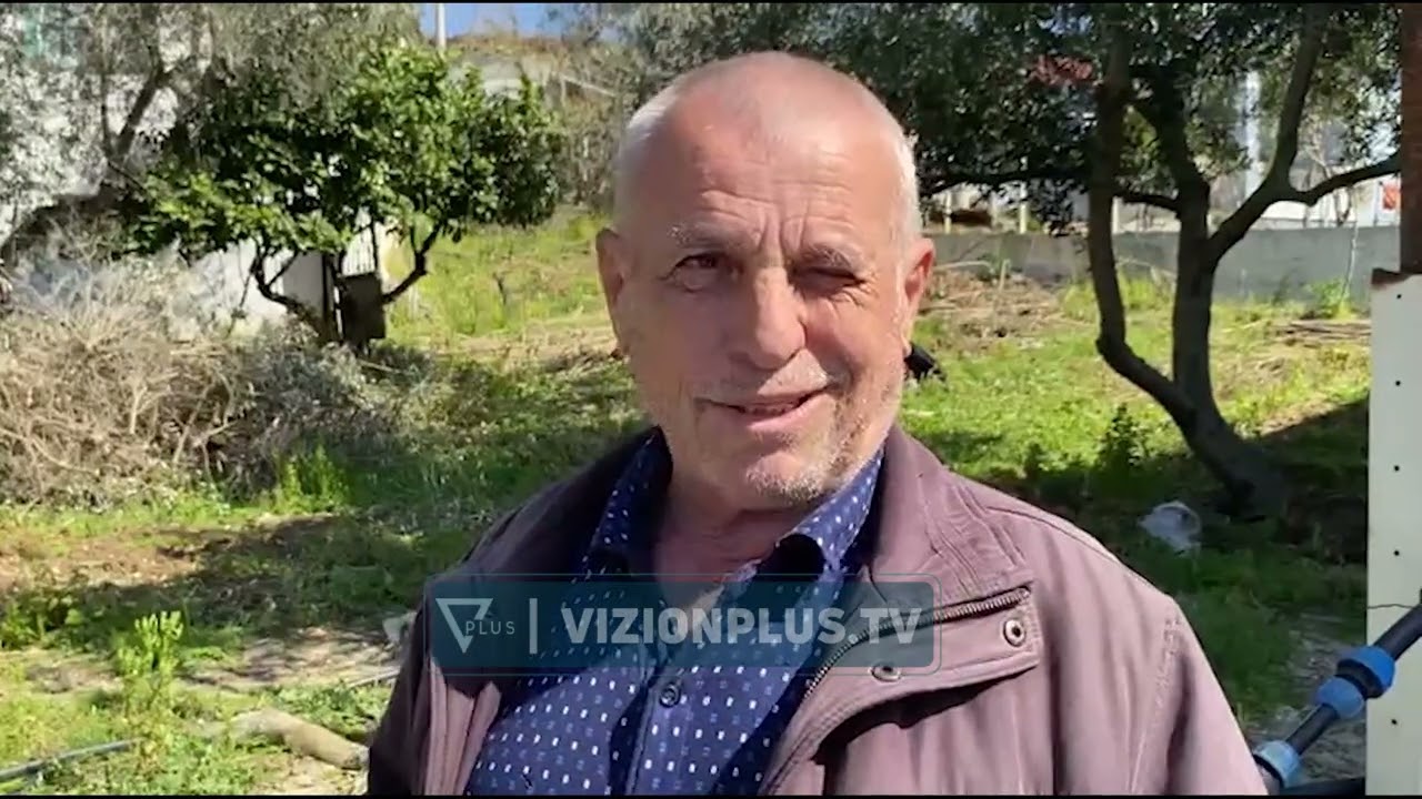 Ankohen fermerët: Po falimentojmë. Kërkojnë mbështetje pas shtrenjtimit të pesticideve për ullinjtë