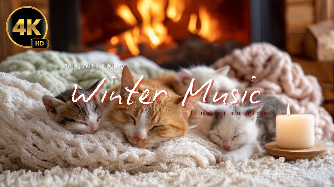 Deep Sleep with Relaxing Music 🐈 Sleep Music No Ads ♬ Enjoy Music for Relief Stress 🥹 #cat #relaxing