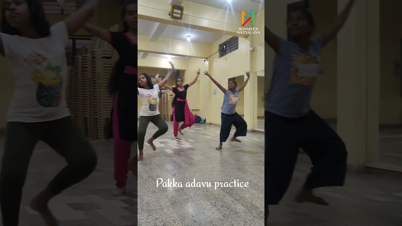 Pakka adavu#dance #bharatanatyam #danceclass #adavu #adavus #trending #classicaldanceclasses #dancer