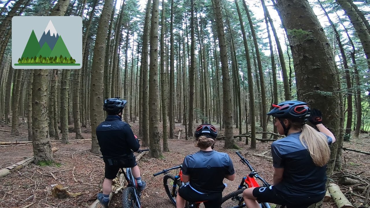 BELLINO L'Appennino 😎 | Abetaia dell'Alpe di Monghidoro in E-BIKE