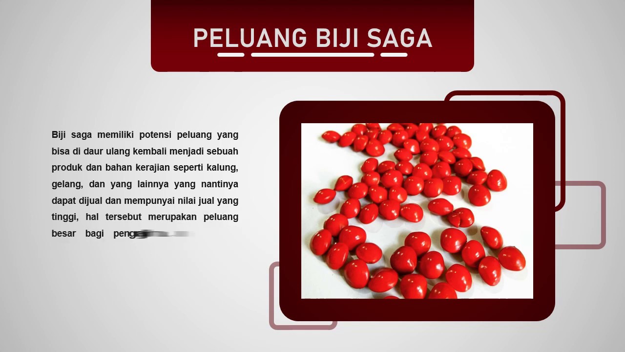 Perancangan Perhiasan Dengan Memanfaatkan Biji Saga Sebagai Material Perhiasan untuk Wanita Feminim