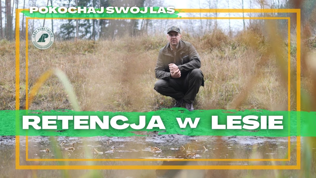 Odc. 45 #Pokochaj Swój Las - Retencja wody w lasach. JAK leśnicy ograniczają ODPŁYW wody z lasu?