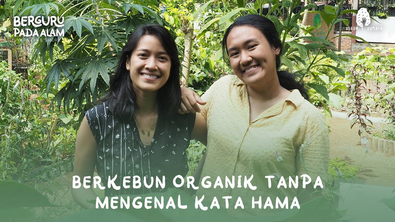 BERKEBUN ORGANIK TANPA MENGENAL KATA HAMA
