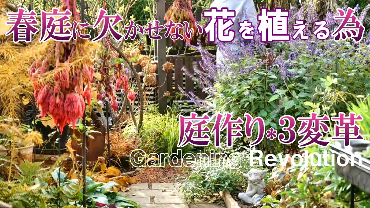 【３変革】春庭作りは今が肝！春の為に変えた庭仕事｜冬庭を華やかにする花｜ルドベキアリトルヘンリー株分け｜ガーデニング