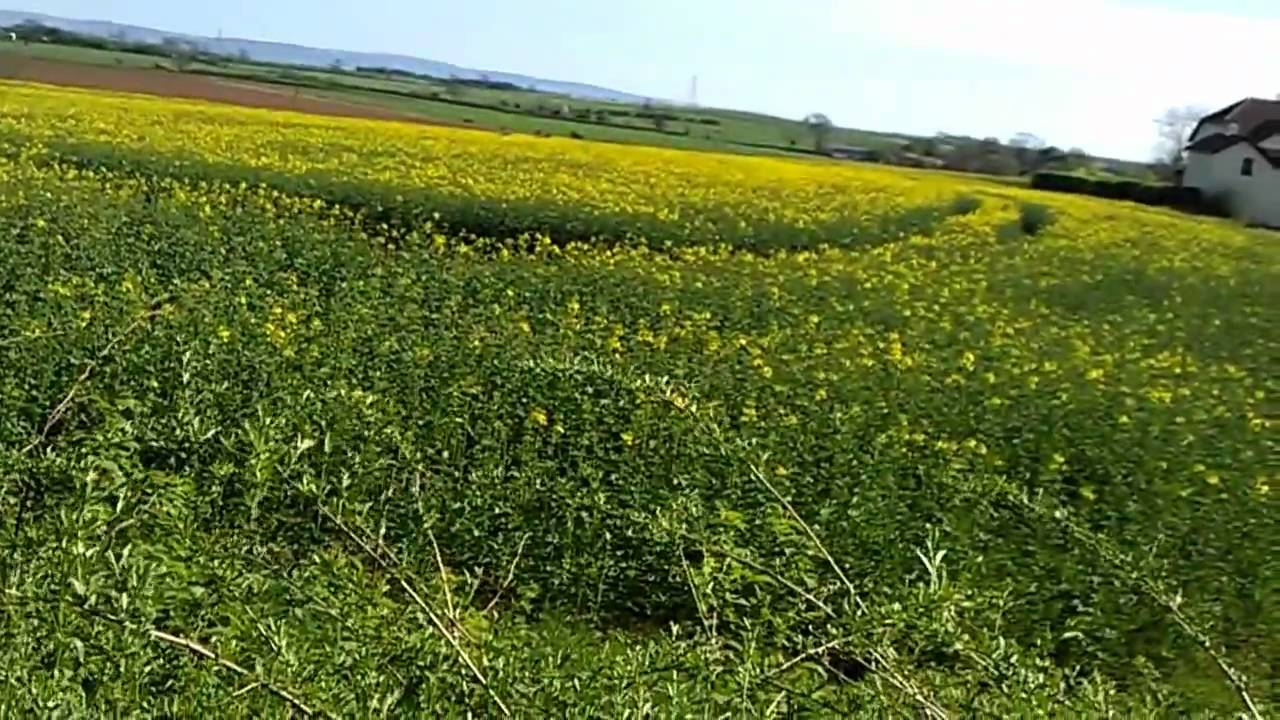 BARMPTON LANE , DARLINGTON , COUNTY DURHAM , ENGLAND