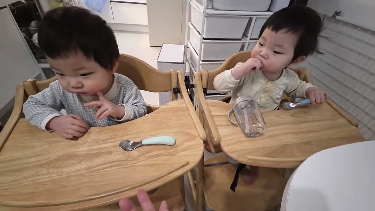 식사 훈련! 하루하루 무섭게 자라는 어린 나무들! 그리고 훌륭한 엄마 아빠! 