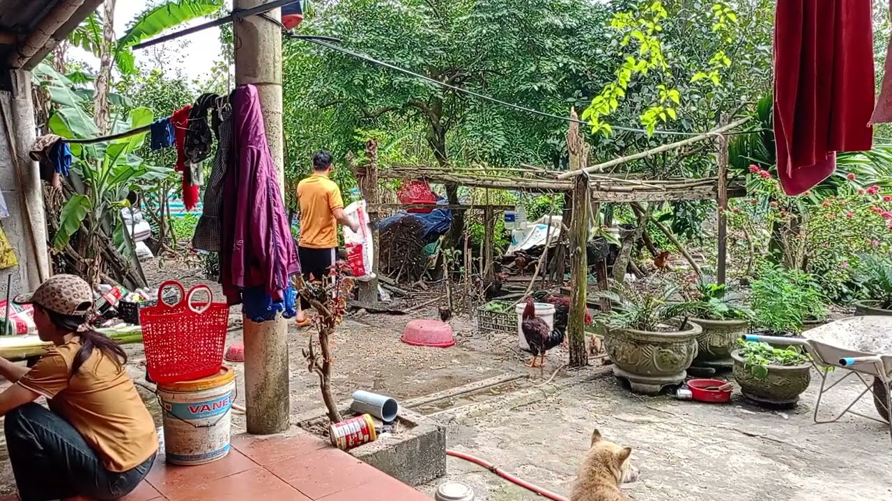 Simple Joys: Finding Happiness in Daily Life