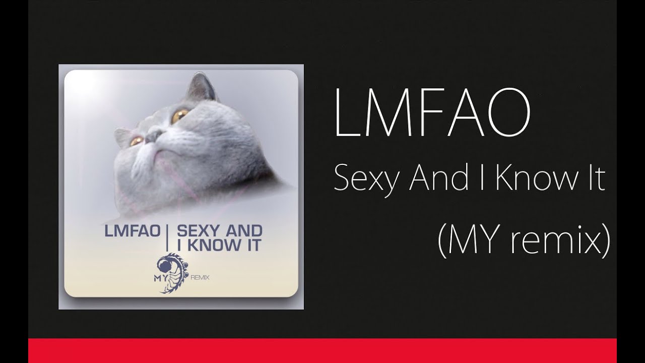 LMFAO - Sexy And I Know It (MY Remix)