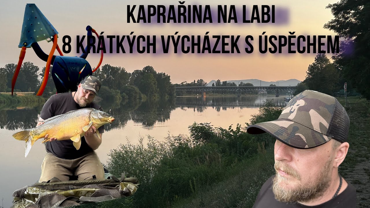 Kaprařina na Labi. 8 krátkých vycházek s nečekanými kapry.