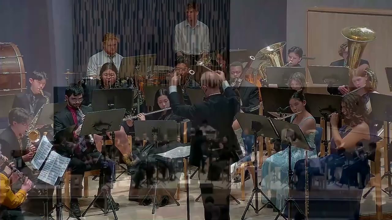 A Night at the Ballet (Walters)