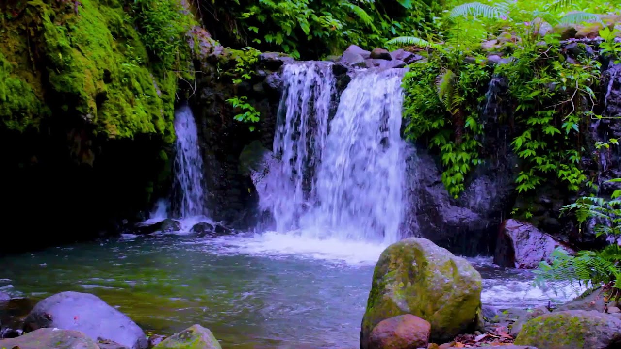 Background Mountain River Water Flow Sounds for Calm Concentration