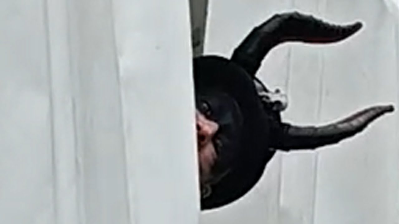 Isle of Wight Steampunk and Shenanigans - Victor and the Bully Vlog