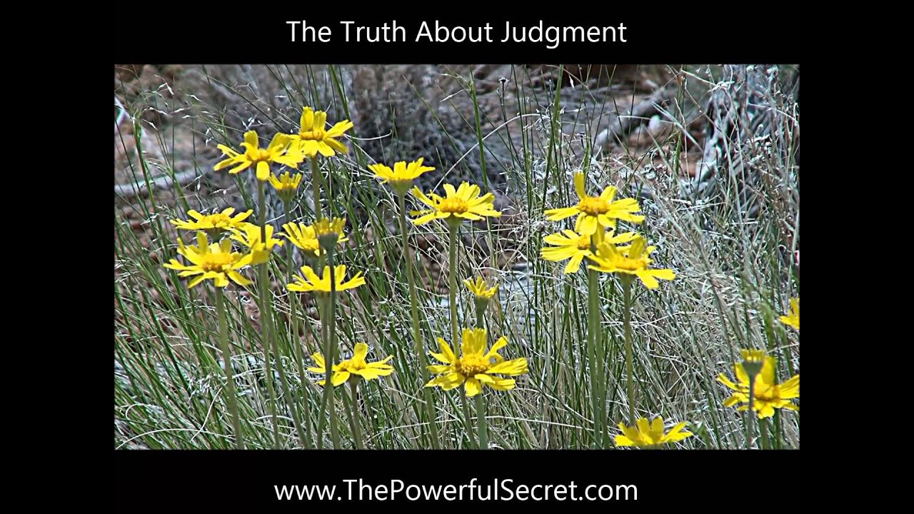 Abraham Hicks   the truth about judgement