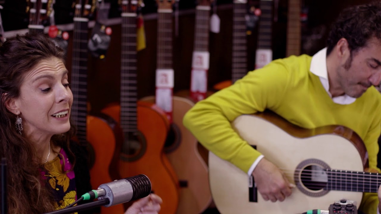 MUSICA EN VENA 