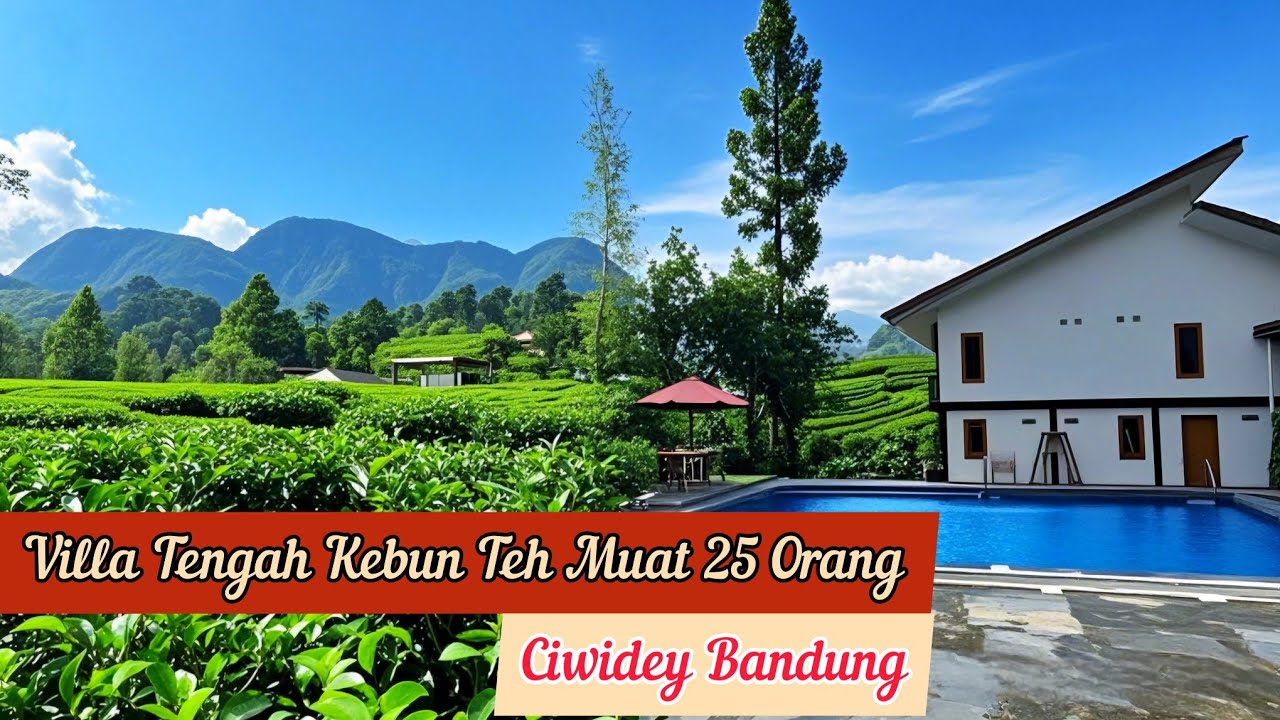 REKOMENDASI Villa Di Ciwidey Bandung dengan Kolam Renang |  Review Villa Teras Kidamar