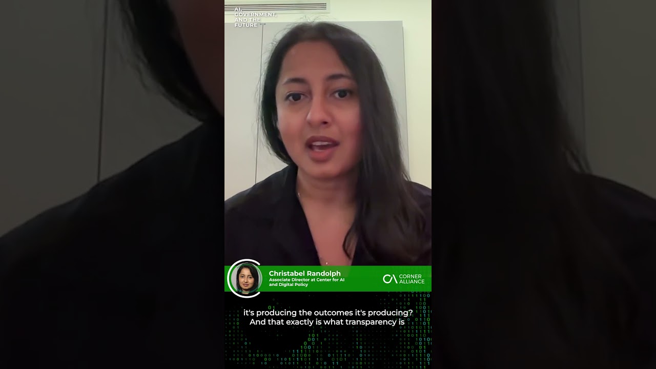 Why AI Transparency Matters: Uncovering Bias and Risks