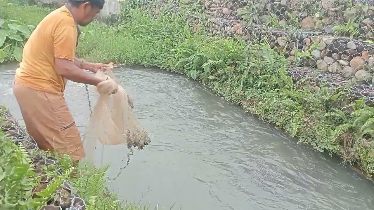 jala ikan nila babon sekali lempar hasil nya di luar dugaan