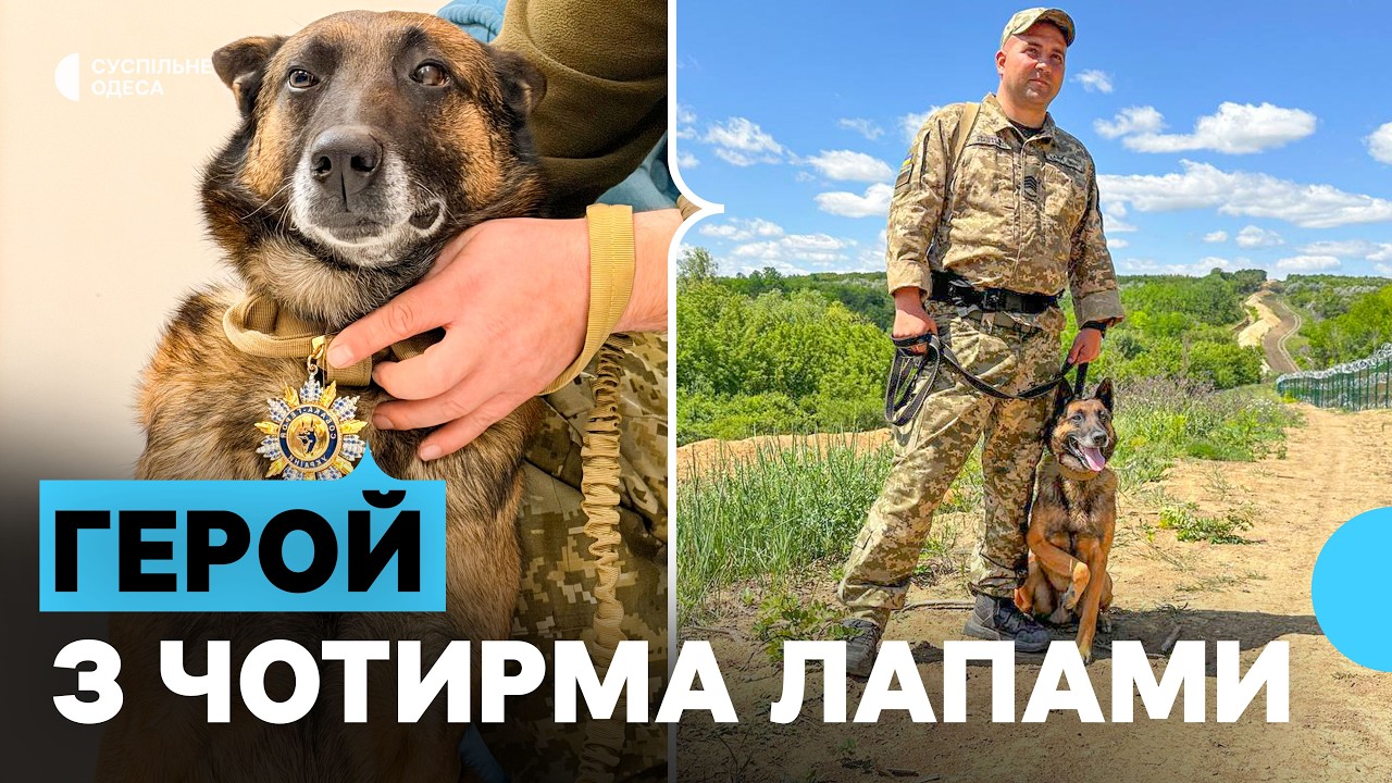 «Доповнюємо один одного»: служба прикордонника та його собаки Ніка