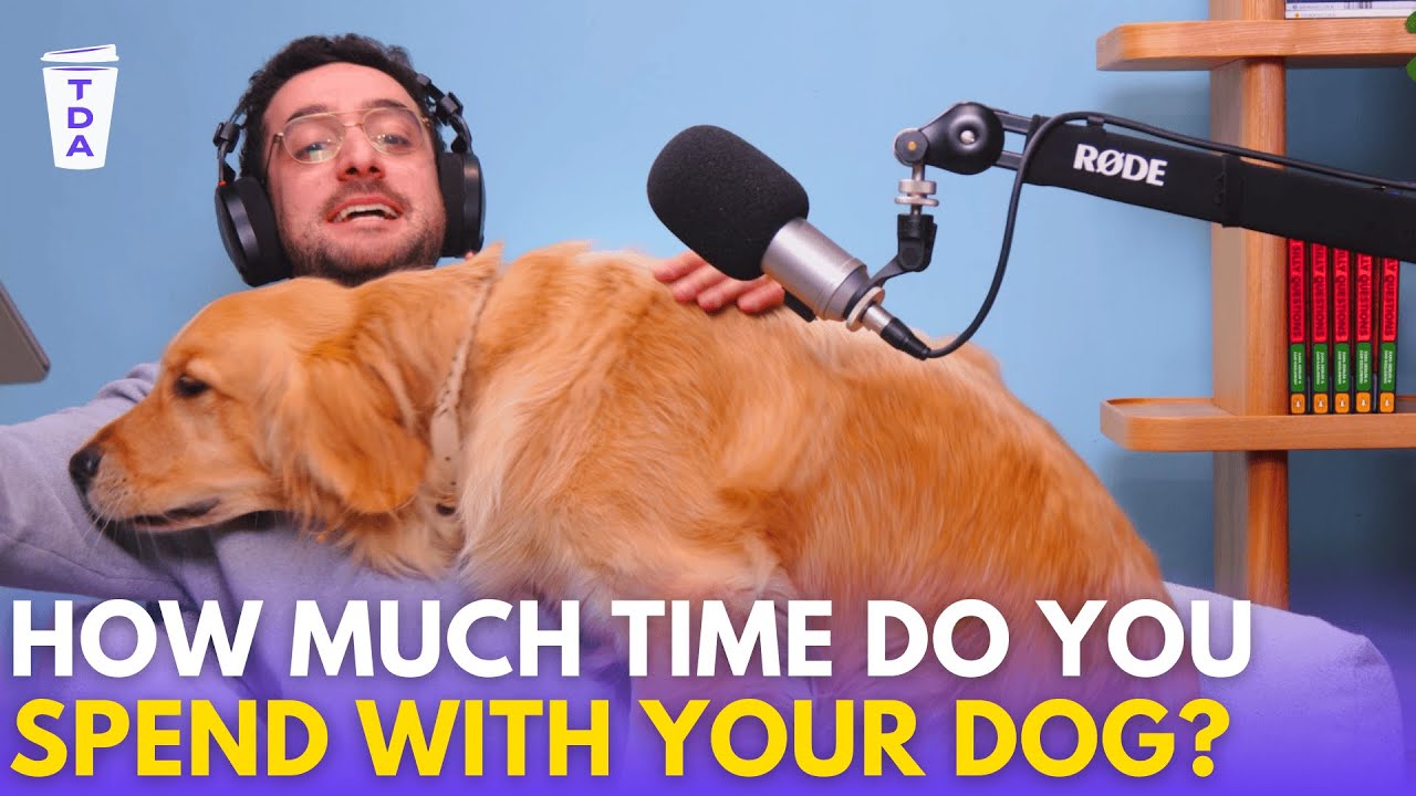 The changing laws of pet ownership | The Daily Aus