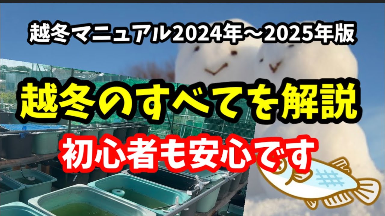 メダカの越冬！すべてを1本の動画にまとめました。【めだか】