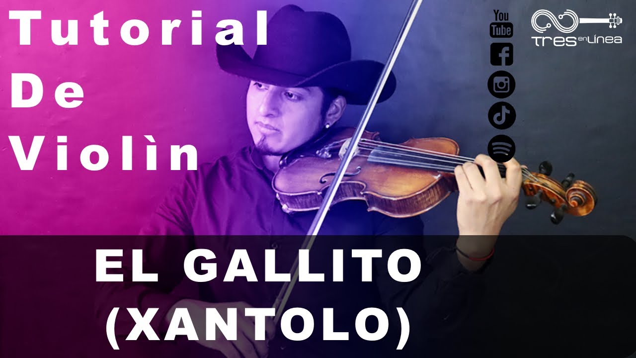 Cómo tocar El Gallito ( Xantolo ) Violin Huasteco