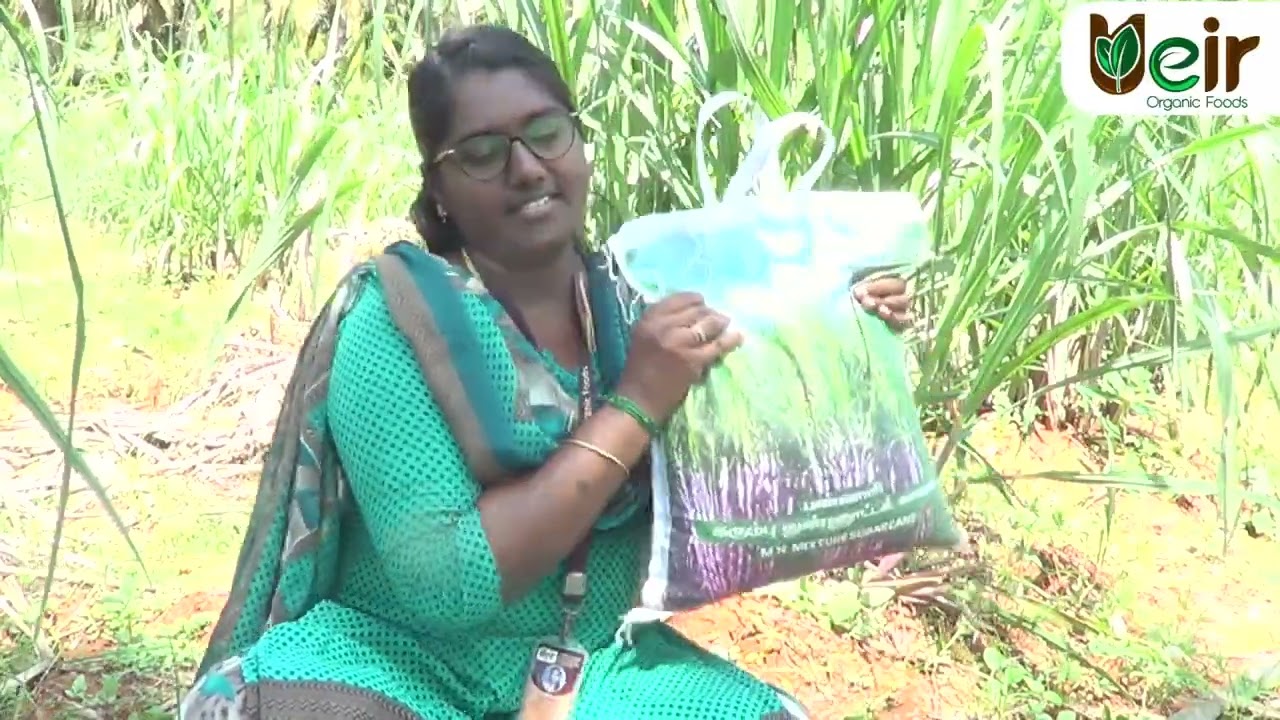 கரும்பு நுண்ணூட்டம் / இயற்கை உரம் / அதிக வளர்ச்சி, அதிக வருமானம் | Ueir Organic Foods