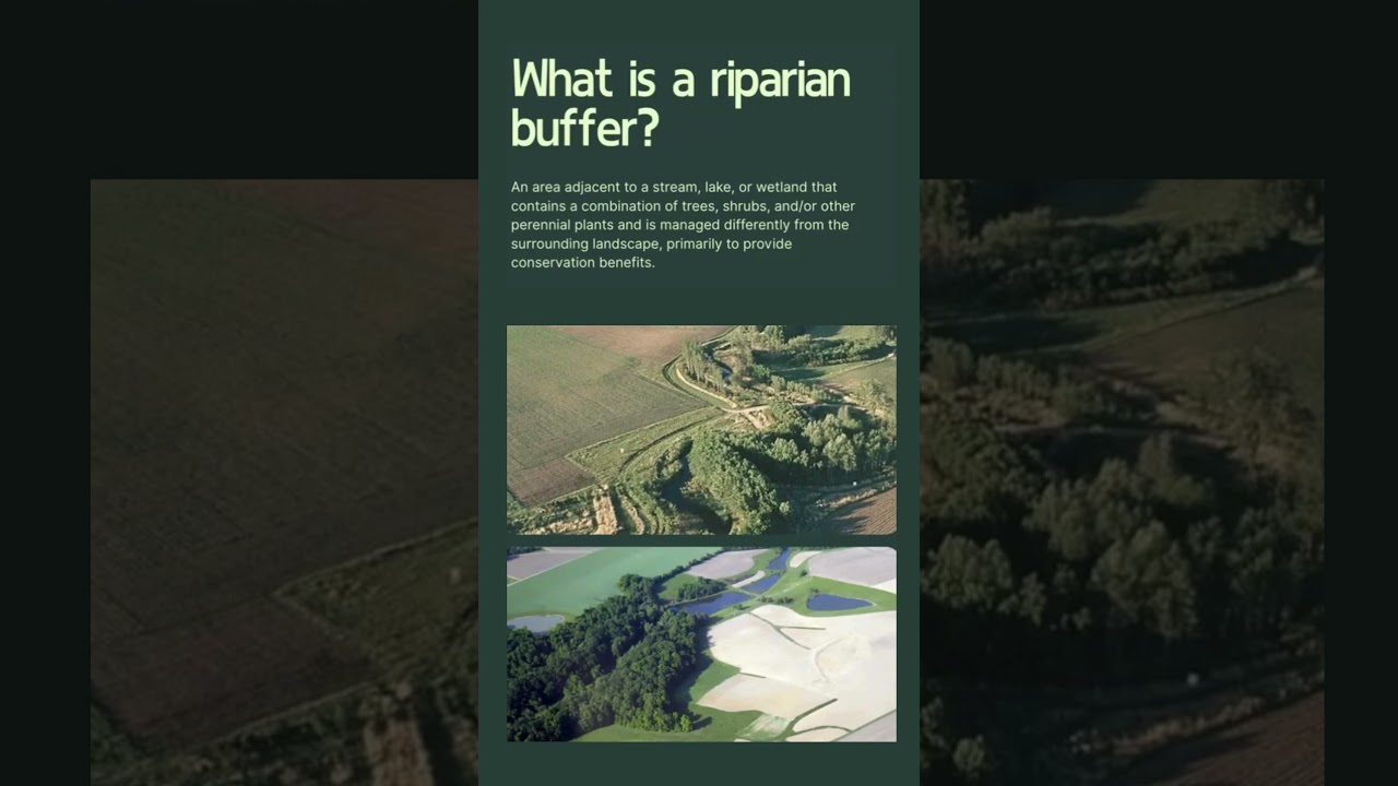 What is a Riparian Buffer Video #conservation