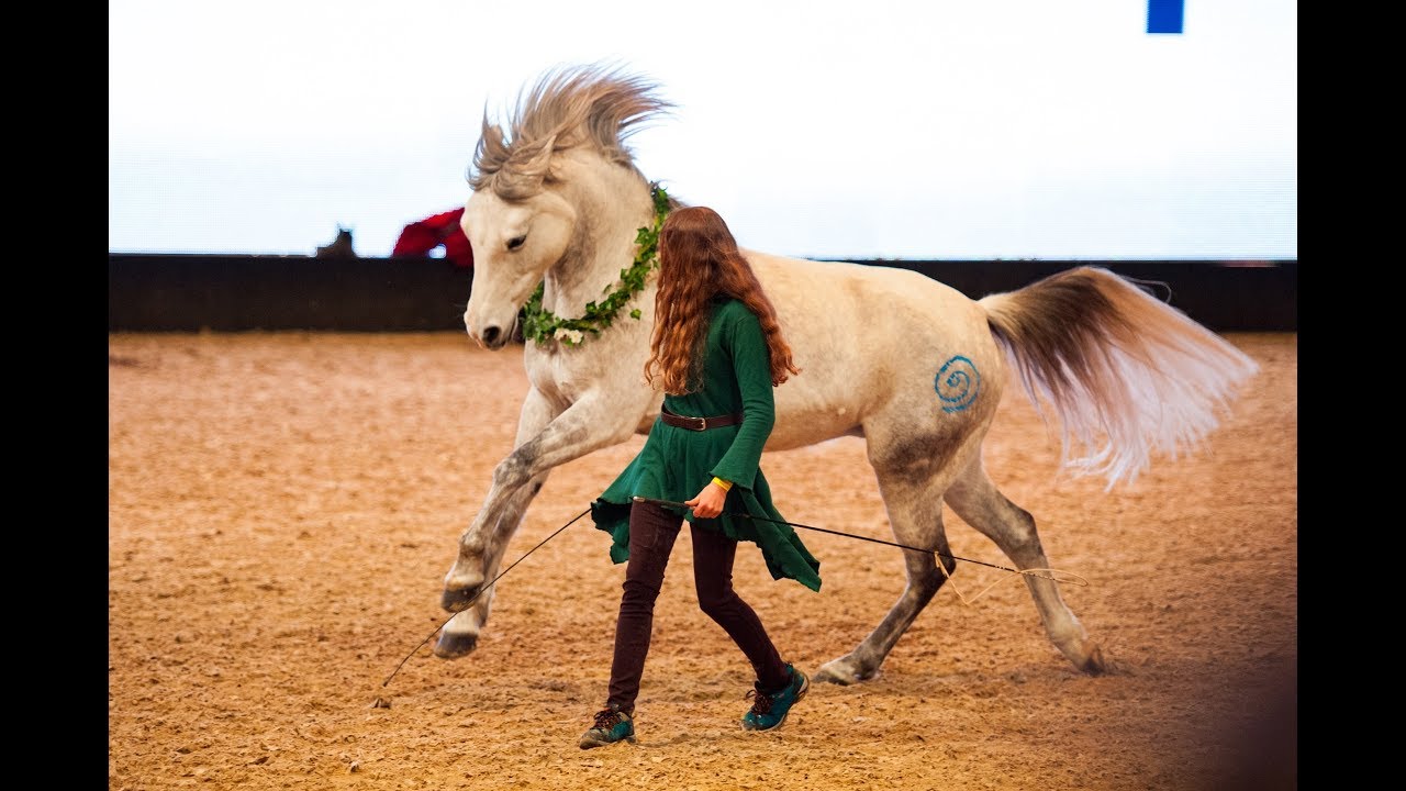 Unser Auftritt beim Katina Showcup auf der Equitana 2019