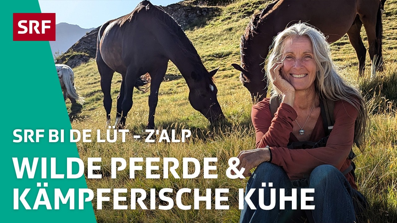 Wilde Pferde & kämpferische Kühe  | Z'Alp – SRF bi de Lüt | 2025 – 2/5 | SRF