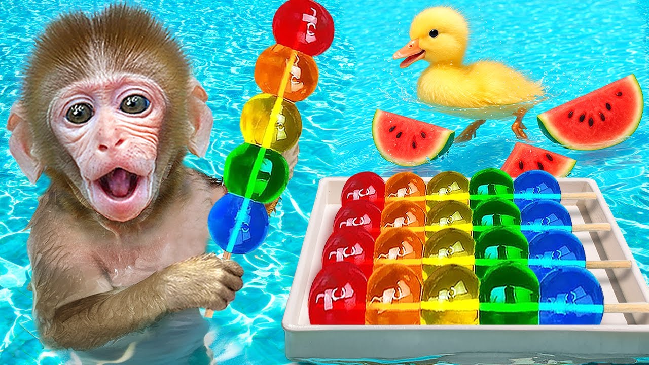 Macaco BuBu Faz Sorvete Arco &Iacute;ris No Parque De &Aacute;guas Da Piscina | BuBu Em Portugu&ecirc;s